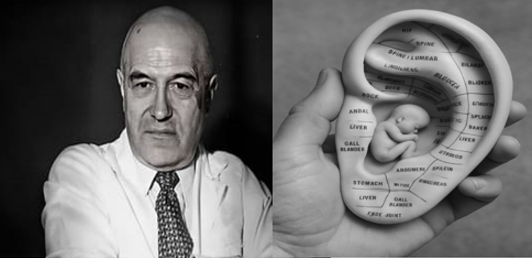 Paul Nogier e a representação auricular